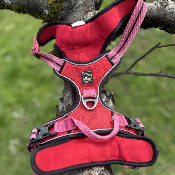 Harnais dogs creek XL