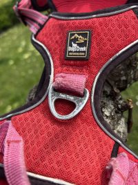 Harnais dogs creek XL