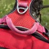 Harnais dogs creek XL