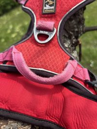 Harnais dogs creek XL