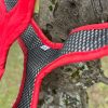 Harnais traction Kyflie T12