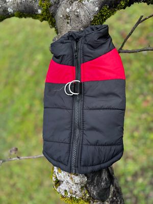 Kyflie Momentum rouge L