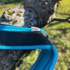 Harnais traction S