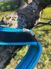 Harnais traction S