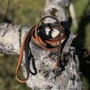 Laisse cuir marron