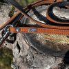 Laisse cuir marron