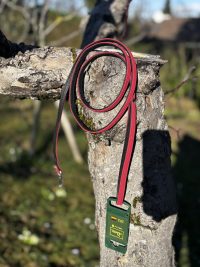 Laisse cuir rouge