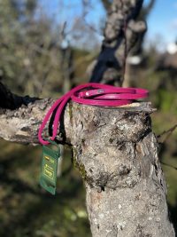 Laisse cuir rose