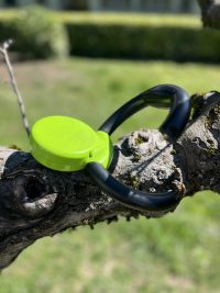 Laisse Vitakraft 5m