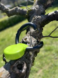 Laisse Vitakraft 5m