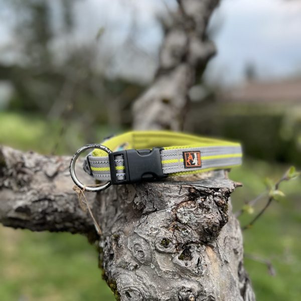 Collier dogscreek L