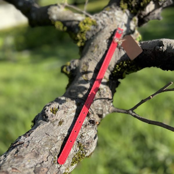 Collier rouge 18-26cm