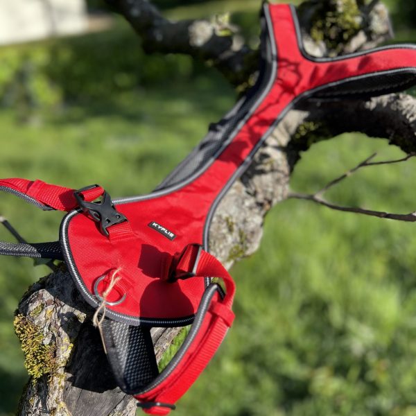 Harnais traction Kyflie T8