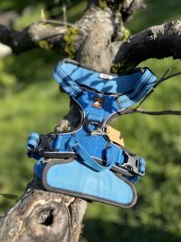 img_9435 Harnais dogs creek M