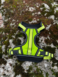 Harnais Y vert fluo