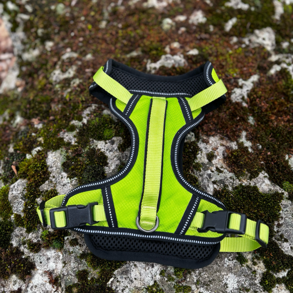 Harnais Y vert fluo