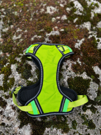 Harnais Y vert fluo