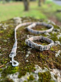 Ensemble collier et Laisse cadrillé