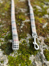 Ensemble collier et Laisse cadrillé