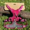 Kyflie Momentum rose M