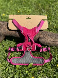 Kyflie Momentum rose M