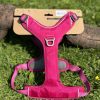 Kyflie Momentum rose M