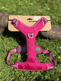 Kyflie Momentum rose M