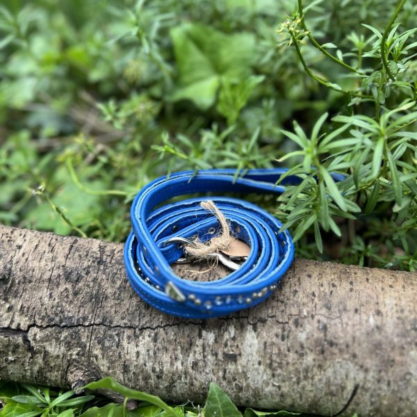Laisse cuir bleu avec strass