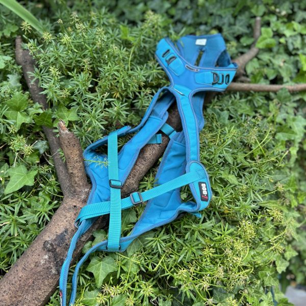 Harnais de traction Idog