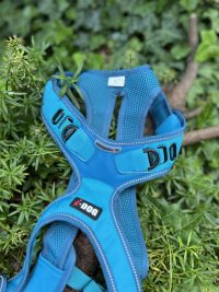 Harnais de traction Idog