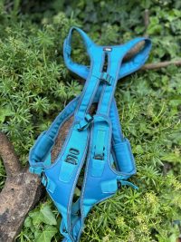 Harnais de traction Idog
