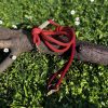 Laisse corde 165cm