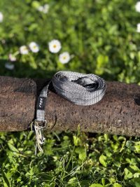 Laisse XS Rogz grise