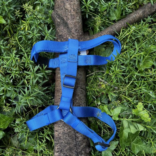 Harnais H bleu L-XL