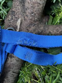 Harnais H bleu L-XL