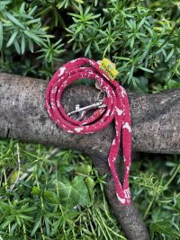 Laisse en tissu rouge
