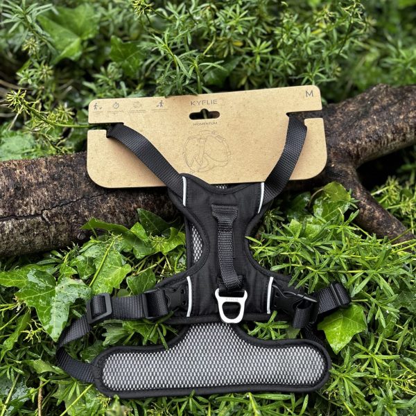 Kyflie Momentum noir M