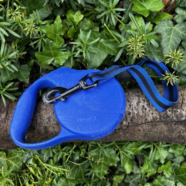 Flexi bleu 5m