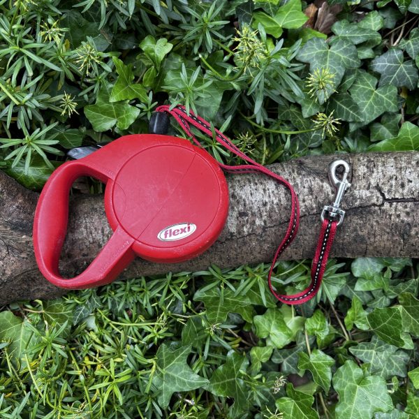 Flexi Classic 7m