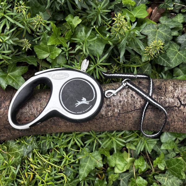 Flexi S corde 5m