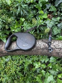 Flexi Classic 5m