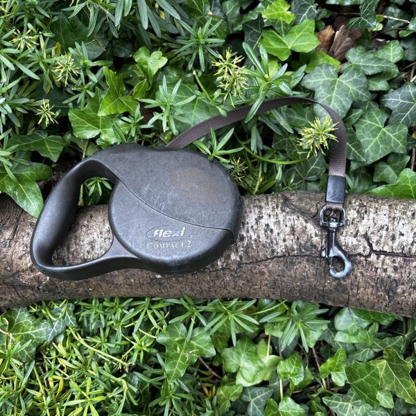Flexi Classic 5m