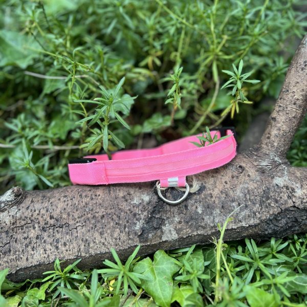Collier lumineux 34-44cm