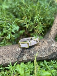 Collier Biothane Le MUSO 23-29cm