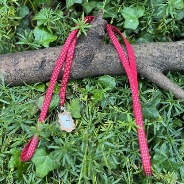 Laisse rouge 120cm