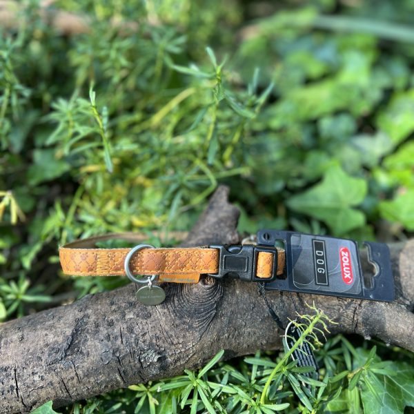 Collier orange 29-41cm