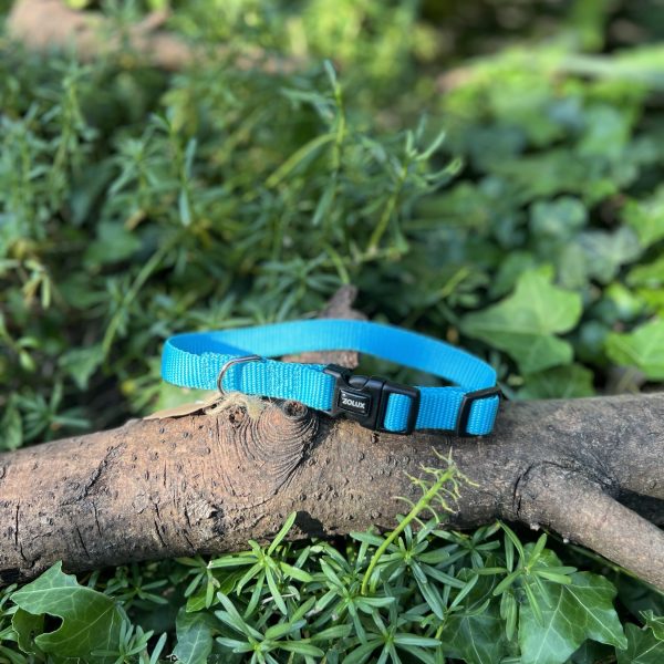 Collier bleu 27-40cm