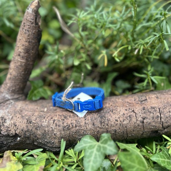 Collier bleu 18-27cm