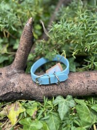 Collier cuir 22-35cm