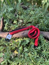 Laisse Martin Sellier 120cm 25mm